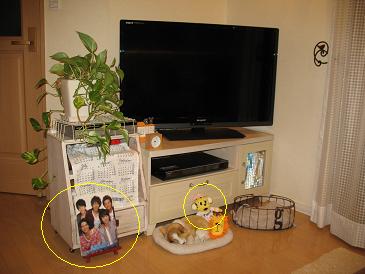 アクオスクアトロン6