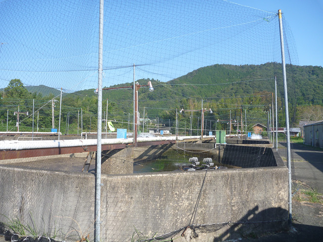resize0002.jpg