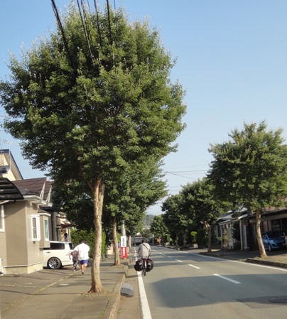 DSC04715z.jpg
