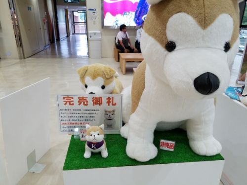 rblog-20180909082412-01.jpg