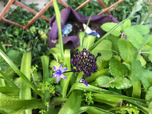 rblog-20180428185412-05.jpg