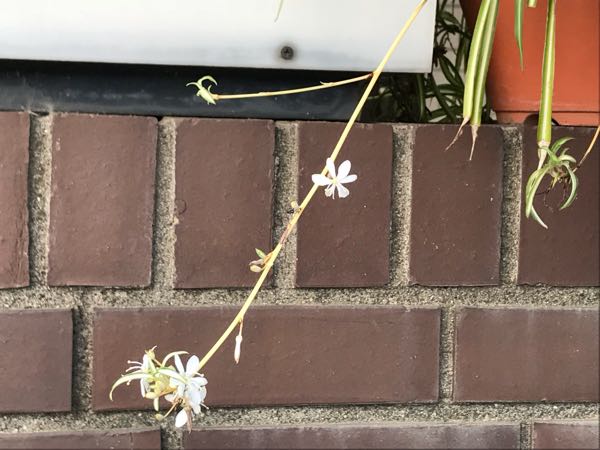rblog-20180624181630-03.jpg