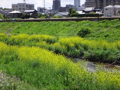 DSC00733_R.JPG