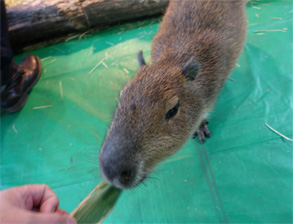 那須25.jpg