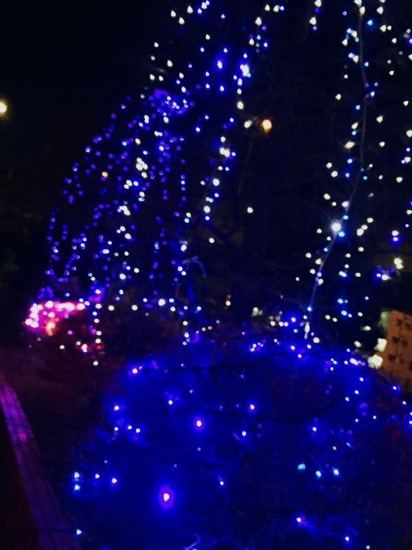 rblog-20161207194521-01.jpg