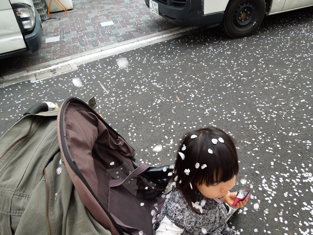 DSCN2173.jpg