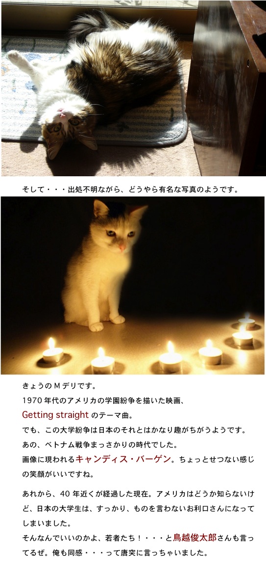 2013.1.06-2.jpg
