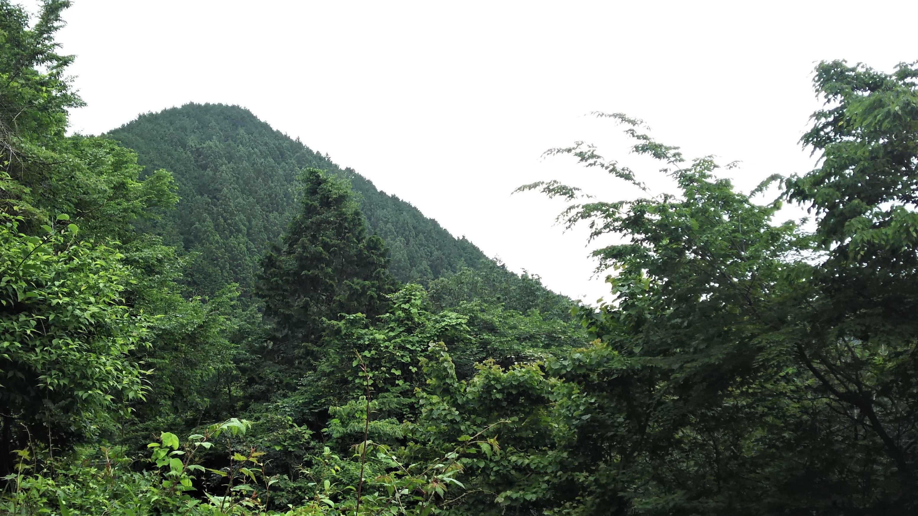 妻と坂道ランニング（顔振峠→高山） | スキー＆ランニング＆登山＆旅行の日記 - 楽天ブログ