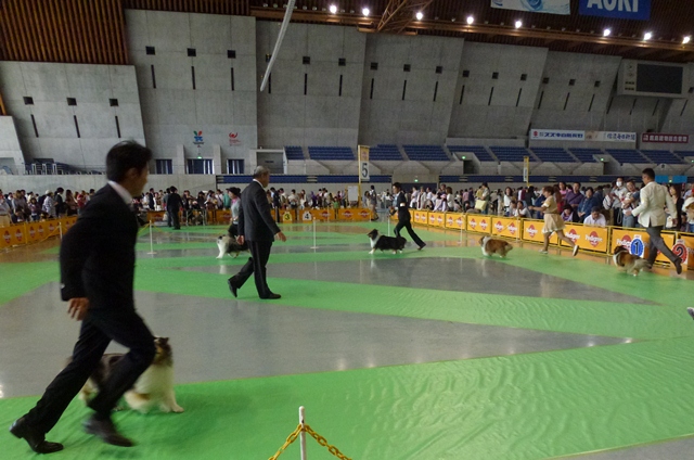 P1010166 - コピー.JPG