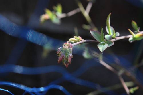 2015040502.JPG