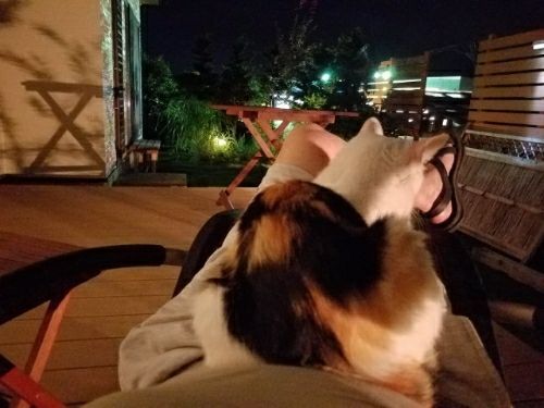 rblog-20180829102804-03.jpg