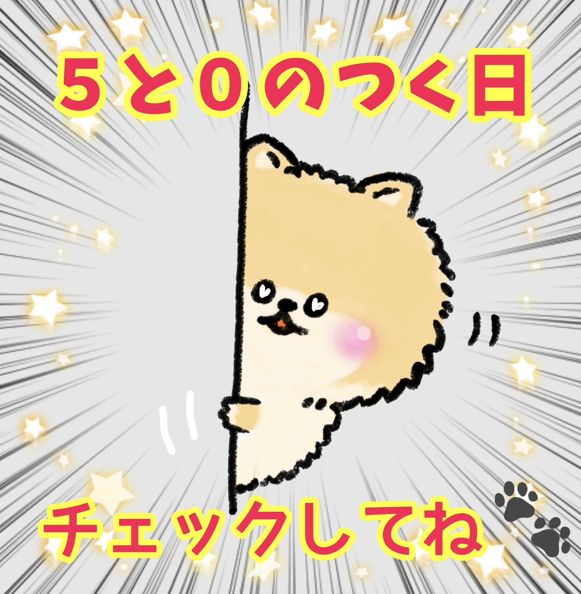 壁から覗くポメ
