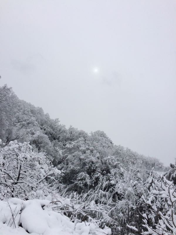 rblog-20150103073955-01.jpg