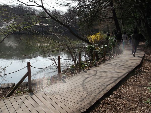 池の周りの散策道.JPG