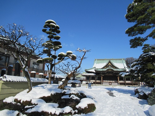 池上本門寺周辺のお寺さん等