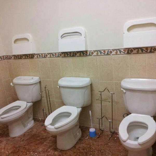 toilet3