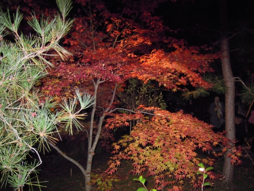 京都　嵯峨　嵐山_2169.JPG