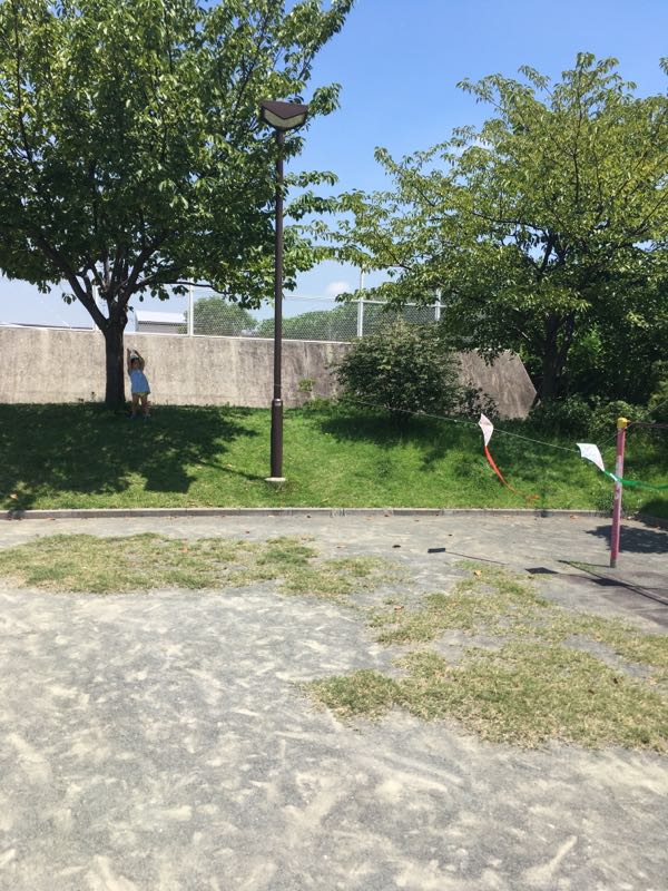 rblog-20160810233917-01.jpg