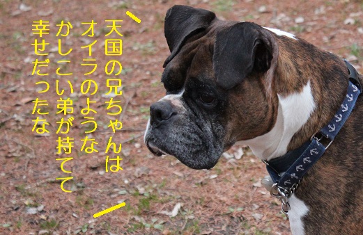 兄ちゃん