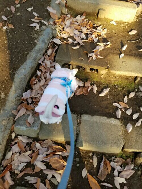 rblog-20161222110210-01.jpg