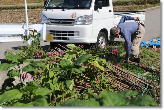 鳥越-5 作業をするおじいさん 15.10.14