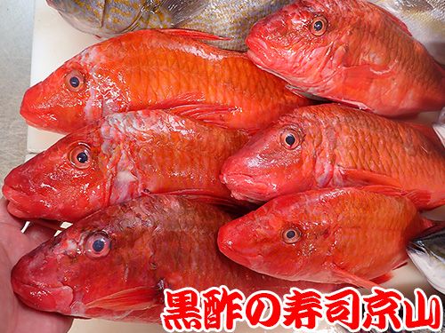 港区　三田　美味しい魚　宅配寿司