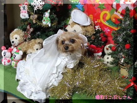 こぶし2.jpg