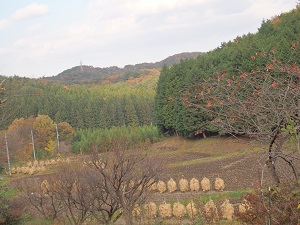 PB070028.JPG