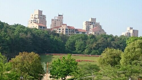 rblog-20170512222456-01.jpg
