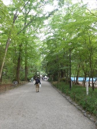 下鴨神社