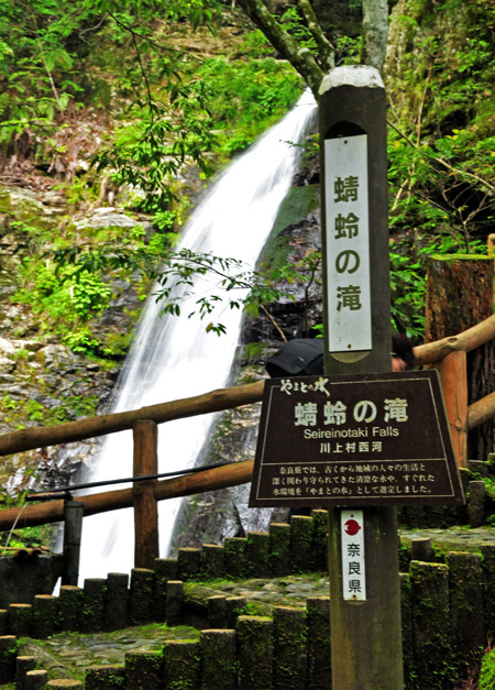 滝３