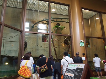 P7270669.JPG