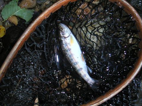 2012.08.05 007.jpg