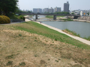 風景２