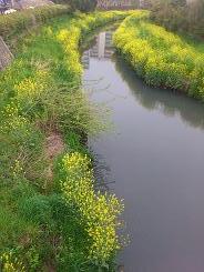DSC 0583.JPG