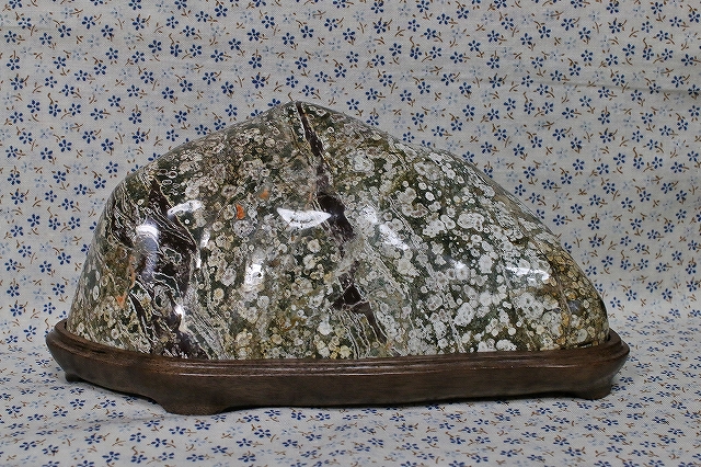 富山県　臼中紋石「梅花石」＆ウォールナットの台座