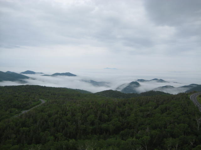 IMG_2298.JPG
