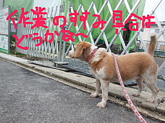 conv1679.JPG