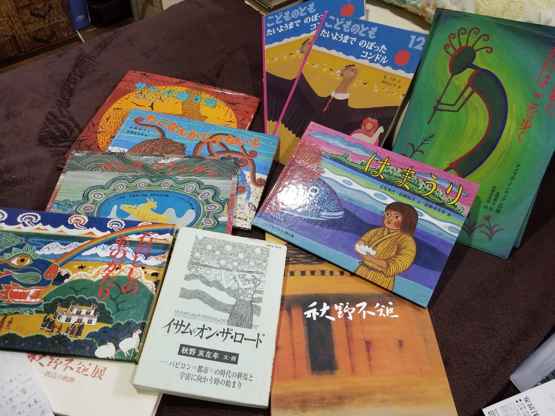 画家の秋野亥左牟さんと徳島の吉野川 | 万年 山猫だより 日々徒然日記