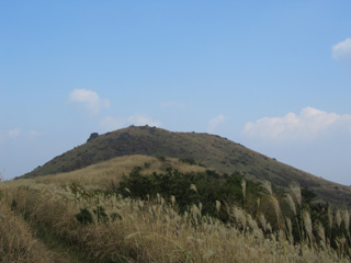 1109_7965.jpg