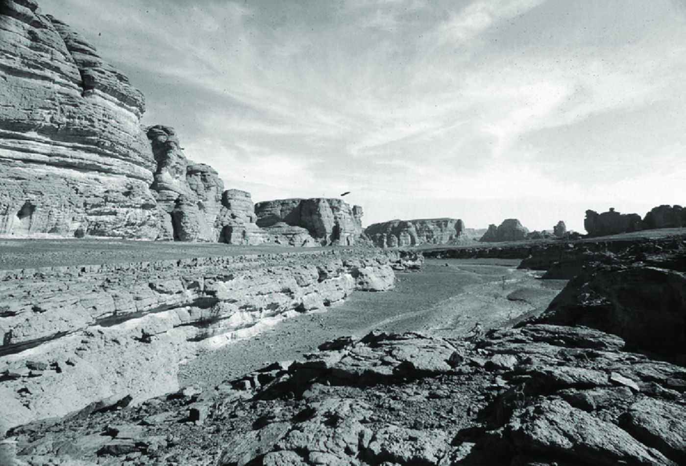 乳糖不耐症またはラクターゼ持続性に関与する遺伝子は何ですか?