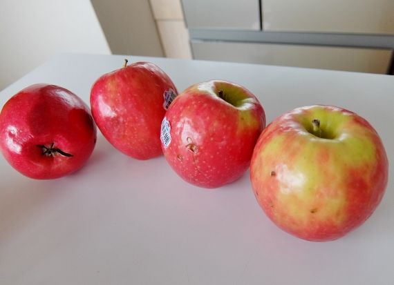 コストコ ◇ ピンクレディー りんご 797円也 ◇ | コストコ ブログ