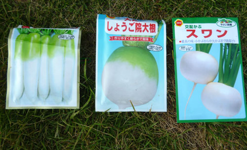 大根、カブ.jpg