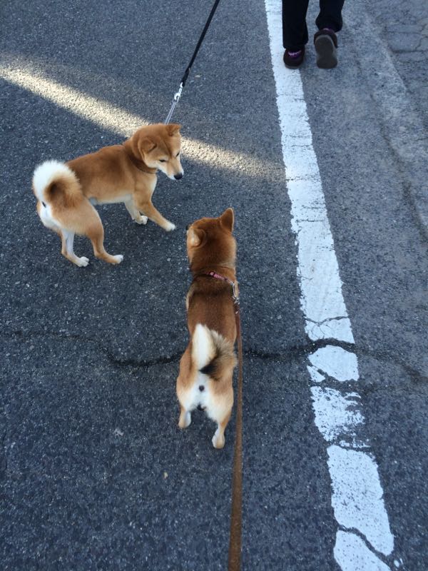 rblog-20151220102824-01.jpg