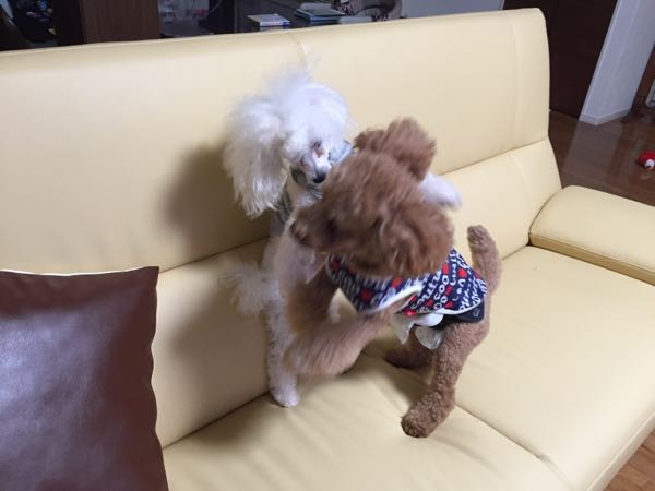 rblog-20150923205846-01.jpg
