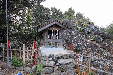 s-DSC_0421.jpg