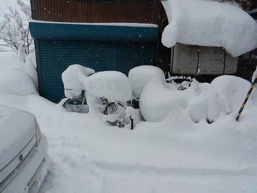 DSCN5698.jpg