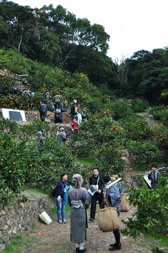 s-DSC_0084.jpg