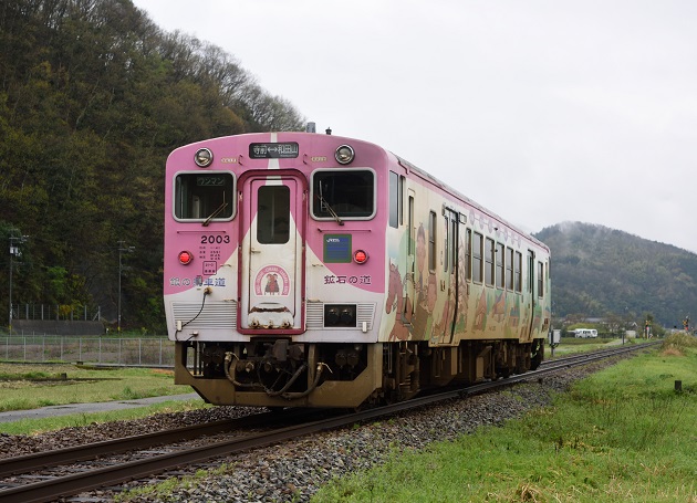 2 D810.jpg