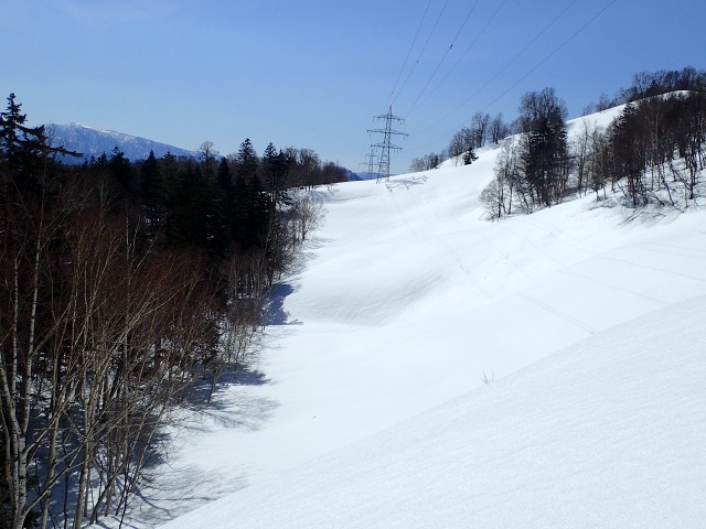 P4021001　10：24樹林に.jpg